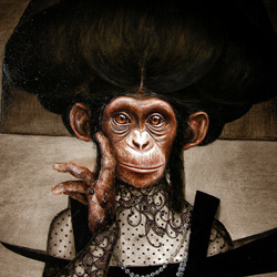 monkey portrait